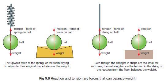 unbalanced-forces-6th-grade-science-force-and-motion-force-www-vrogue-co